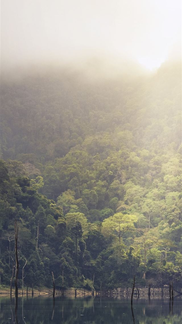 1284x2778 thailand - thailand iPhone Wallpaper