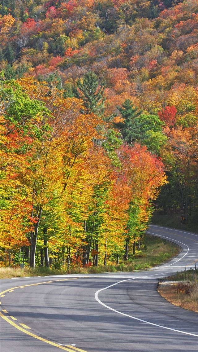 1284x2778 shenandoah national park - shenandoah national park iPhone Wallpaper