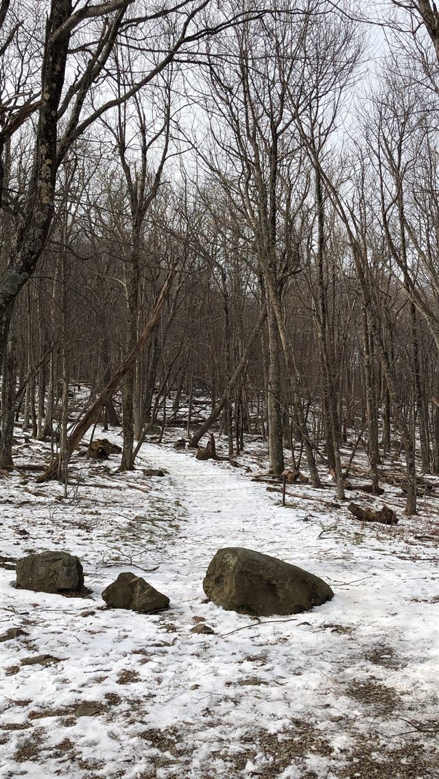 1284x2778 shenandoah national park - shenandoah national park iPhone Wallpaper