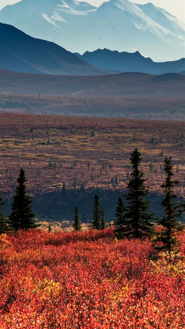 1284x2778 denali national park and preserve - denali national park and preserve iPhone Wallpaper