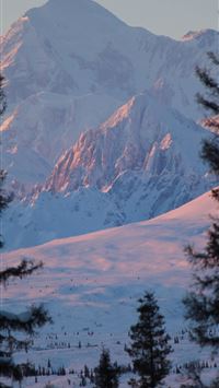 denali national park and preserve wallpaper