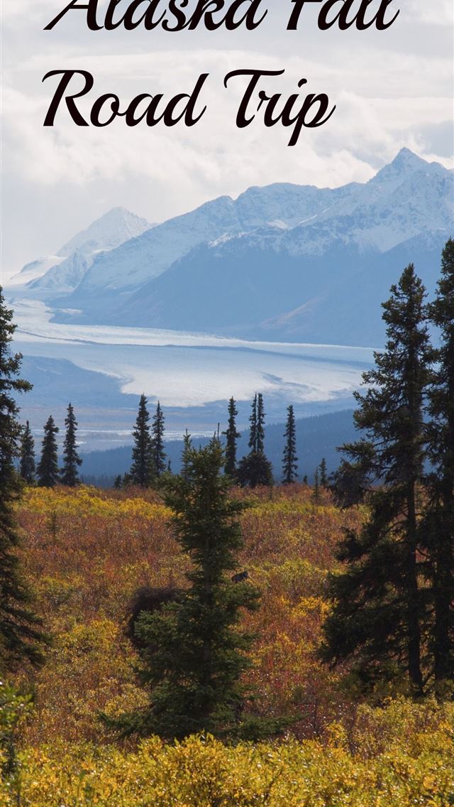 1284x2778 denali national park and preserve - denali national park and preserve iPhone Wallpaper