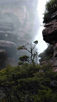mount roraima wallpaper