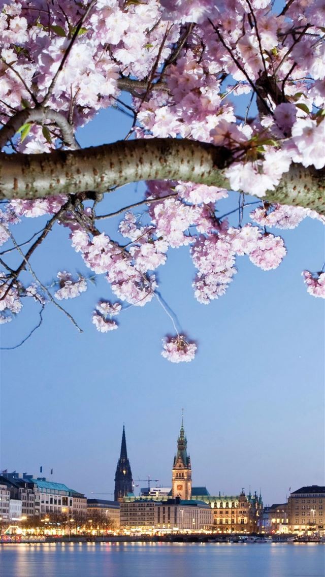 1284x2778 hamburg - hamburg iPhone Wallpaper