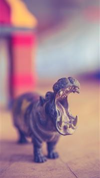 hippopotamus wallpaper