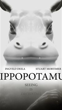 hippopotamus wallpaper