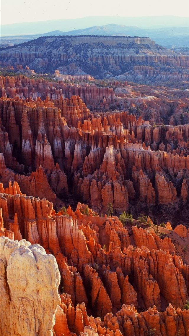 1284x2778 bryce canyon national park - bryce canyon national park iPhone Wallpaper