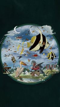 progressive rock wallpaper