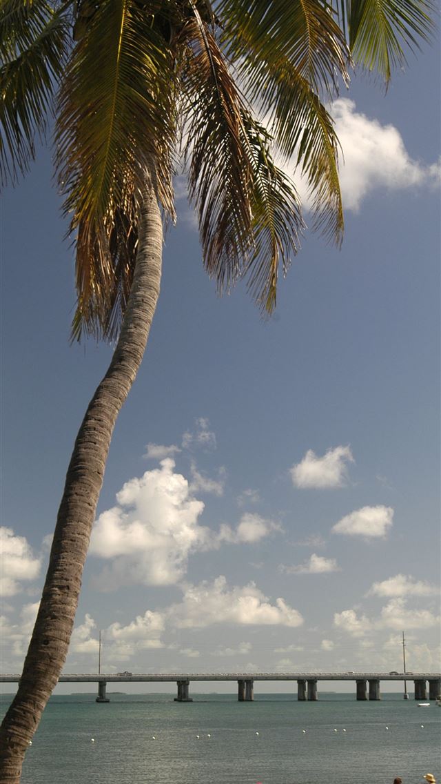 1284x2778 florida keys - florida keys iPhone Wallpaper