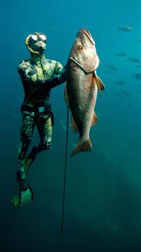 florida keys wallpaper