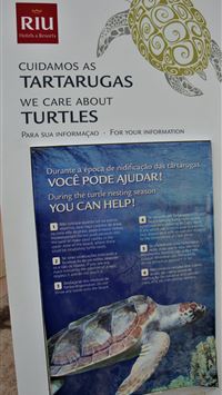 cabo verde wallpaper