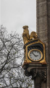 dusseldorf wallpaper