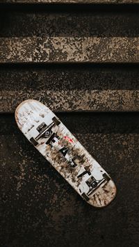 dusseldorf wallpaper