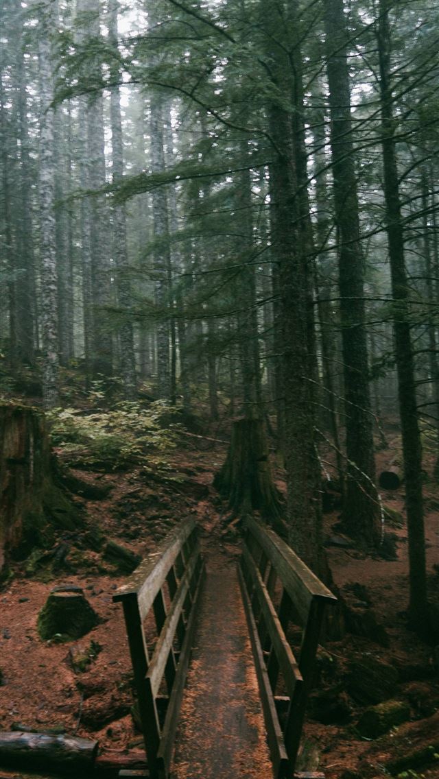 1284x2778 oregon - oregon iPhone Wallpaper