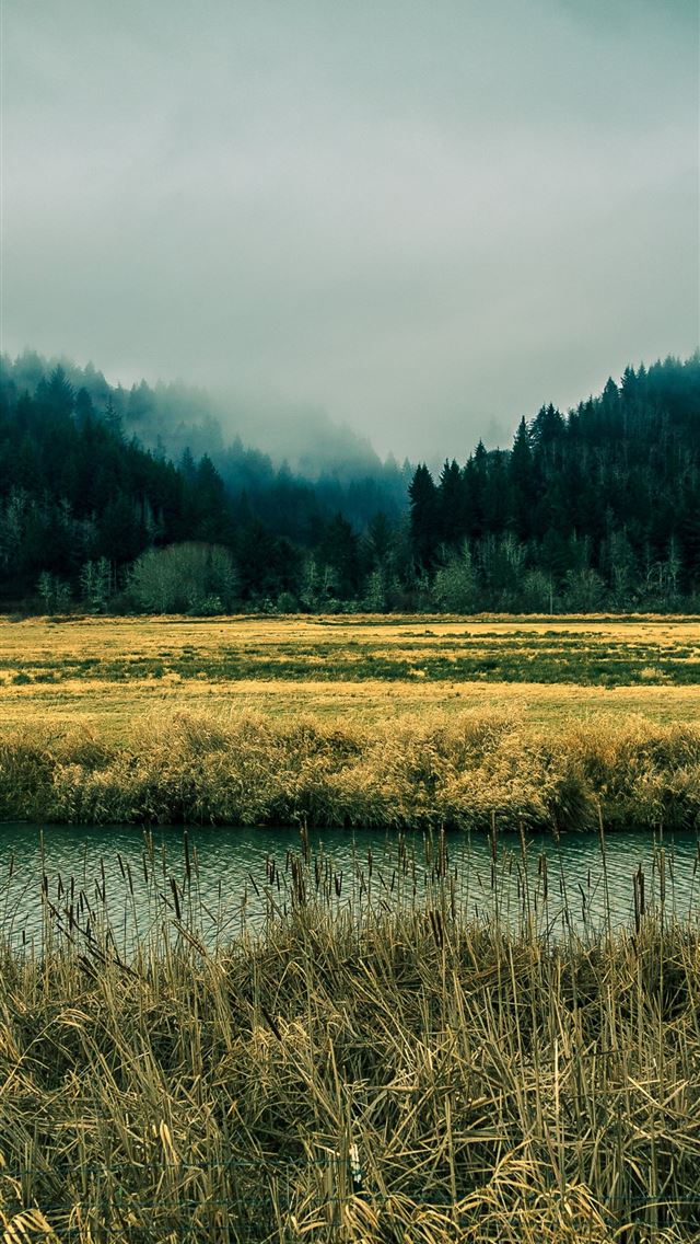 1284x2778 oregon - oregon iPhone Wallpaper