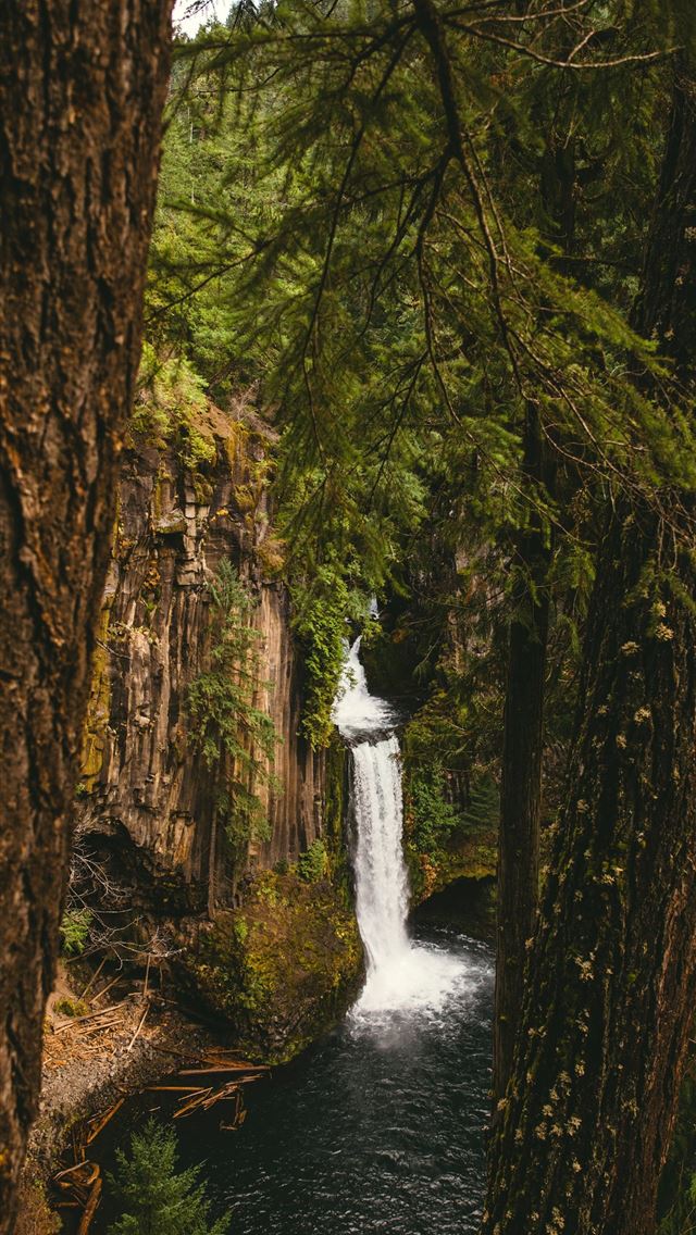 1284x2778 oregon - oregon iPhone Wallpaper
