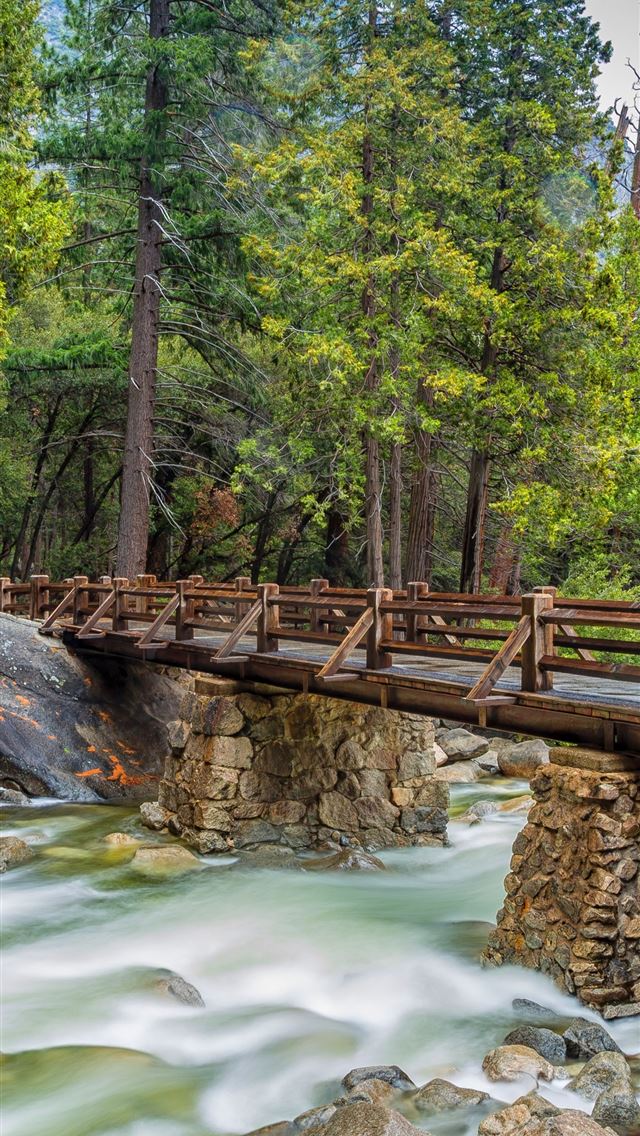 1284x2778 montana state - montana state iPhone Wallpaper