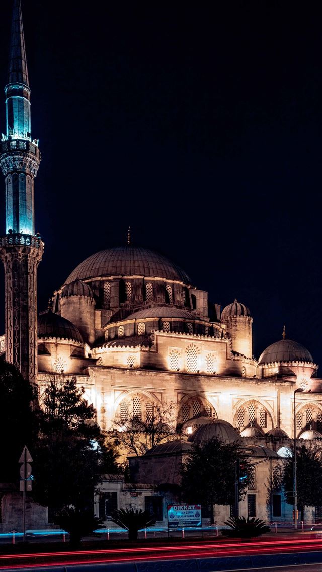 1284x2778 turkey - turkey iPhone Wallpaper