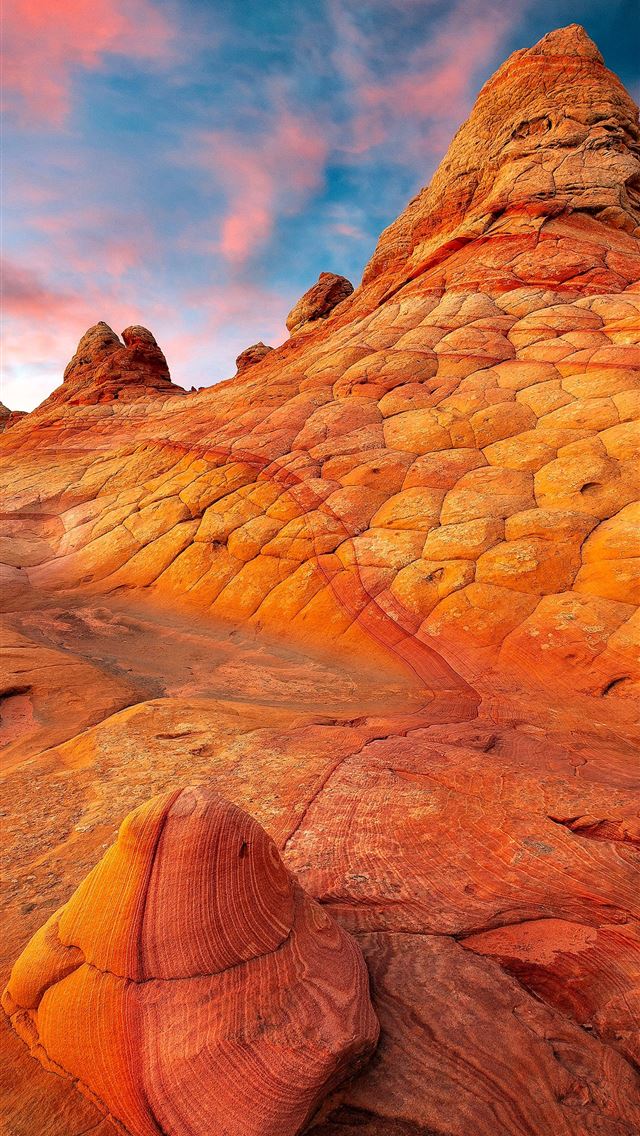 1284x2778 arizona - arizona iPhone Wallpaper
