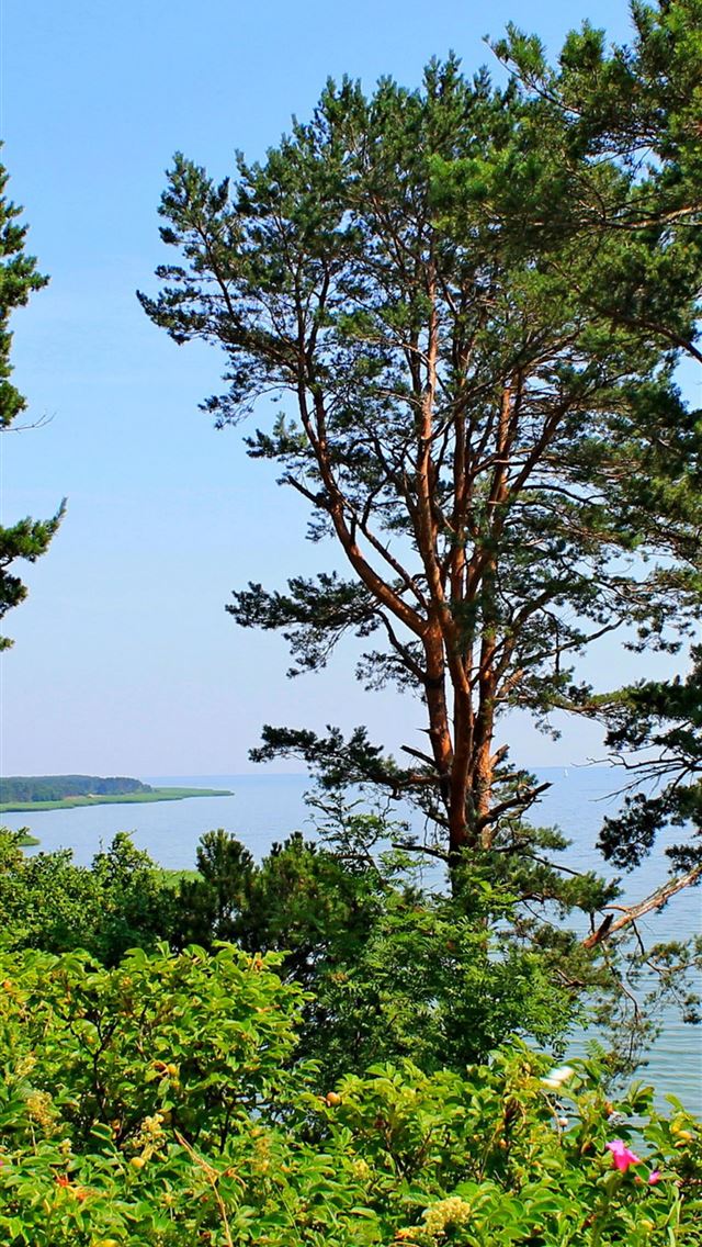 1284x2778 lithuania - lithuania iPhone Wallpaper