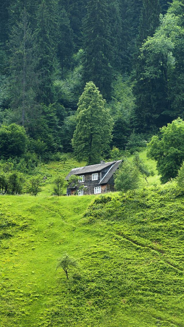 1284x2778 world environment day - world environment day iPhone Wallpaper