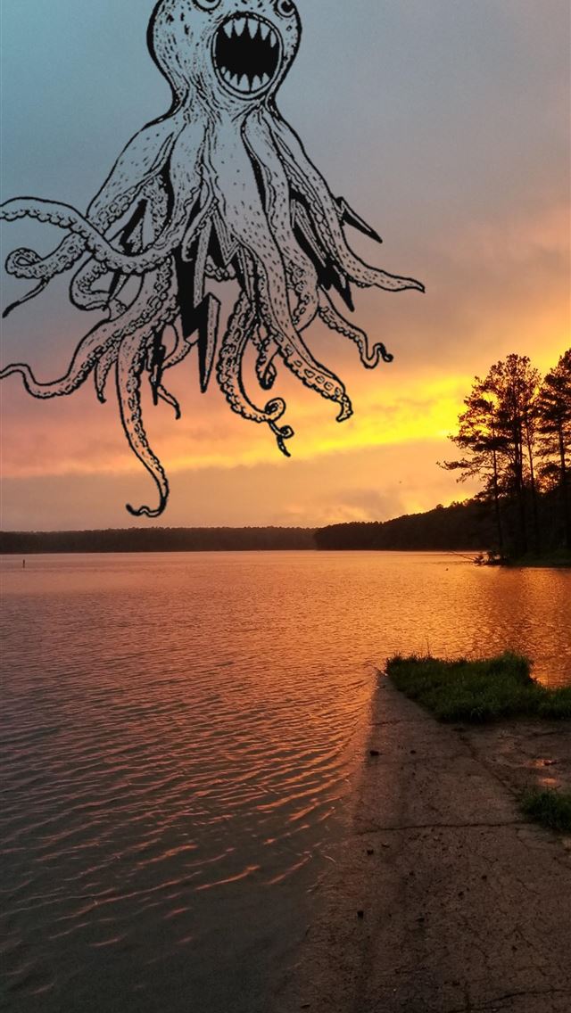 1284x2778 octopus - octopus iPhone Wallpaper