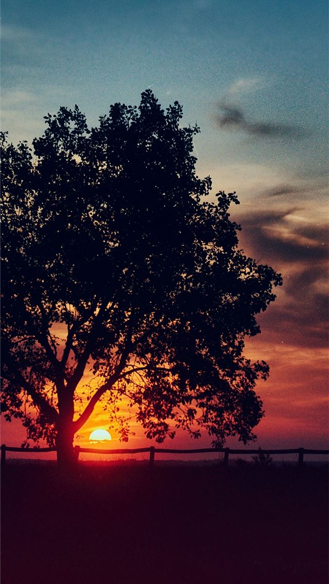 1284x2778 huawei y5 - huawei y5 iPhone Wallpaper