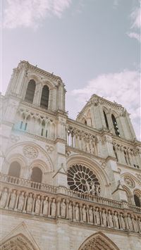 notre dame cathedral wallpaper