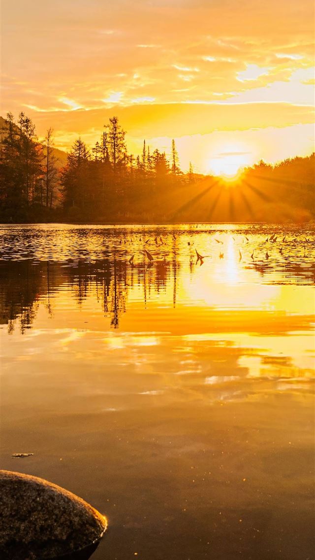 1284x2778 vermont - vermont iPhone Wallpaper