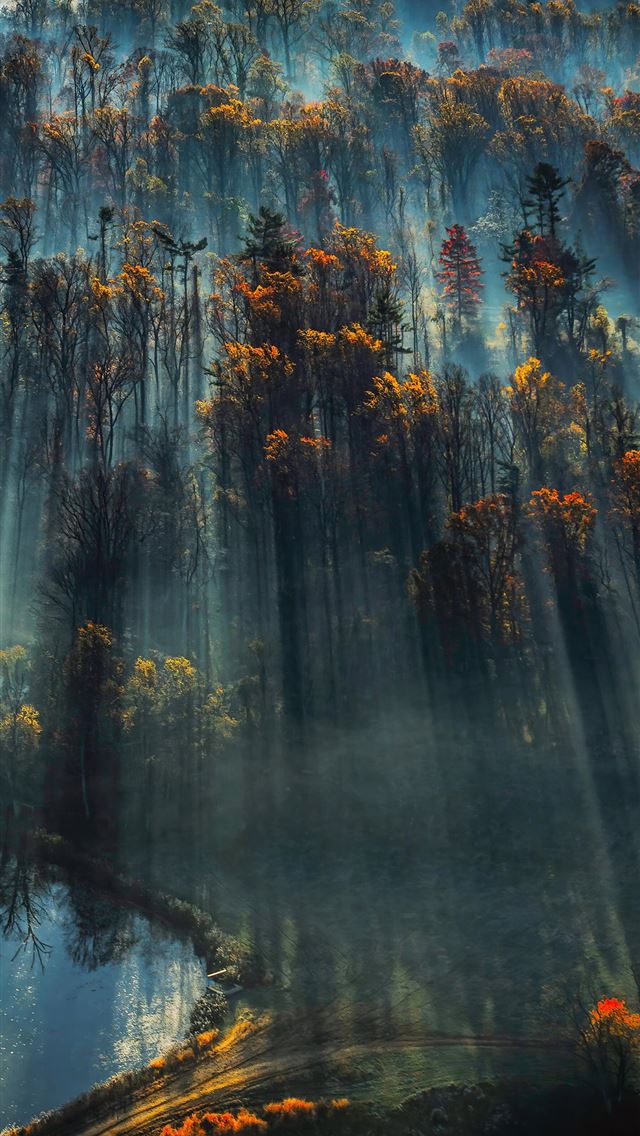 1284x2778 vermont - vermont iPhone Wallpaper