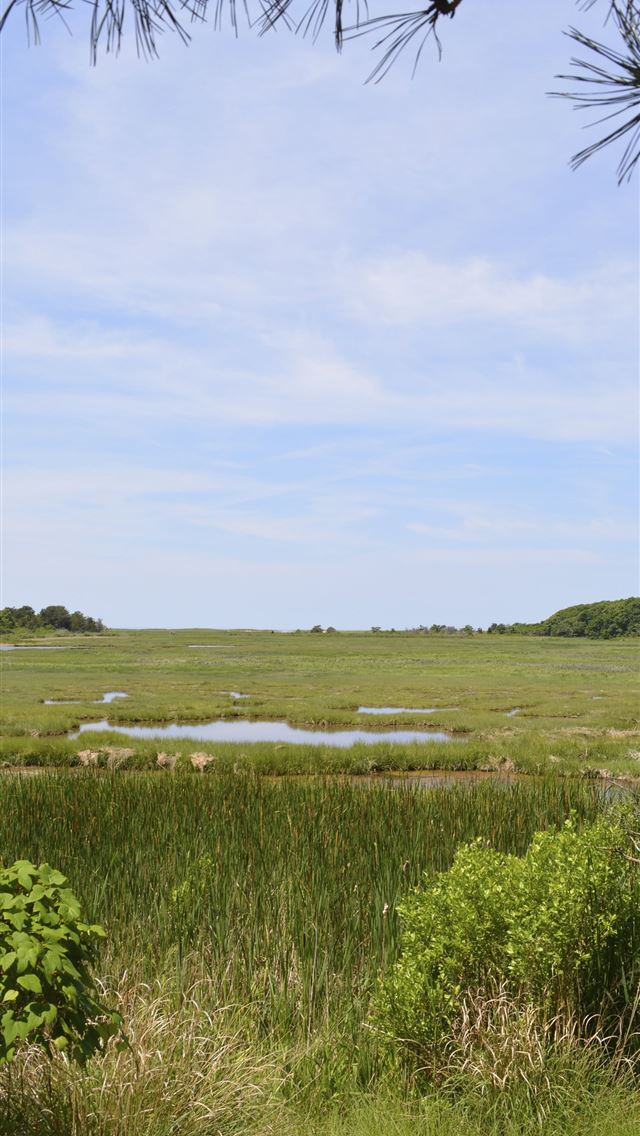 1284x2778 cape cod national seashore - cape cod national seashore iPhone Wallpaper