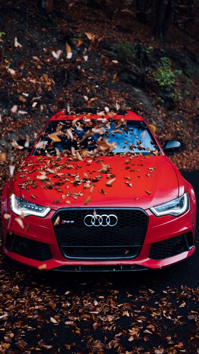 1284x2778 audi q5 - audi q5 iPhone Wallpaper