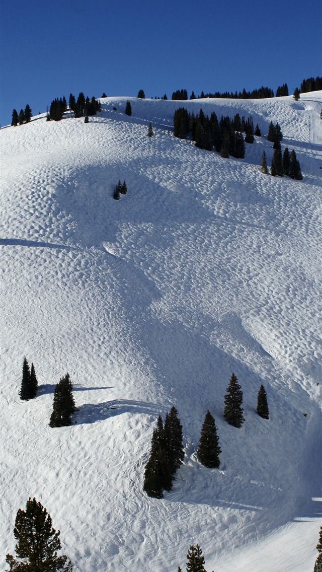 1284x2778 denver colorado - denver colorado iPhone Wallpaper