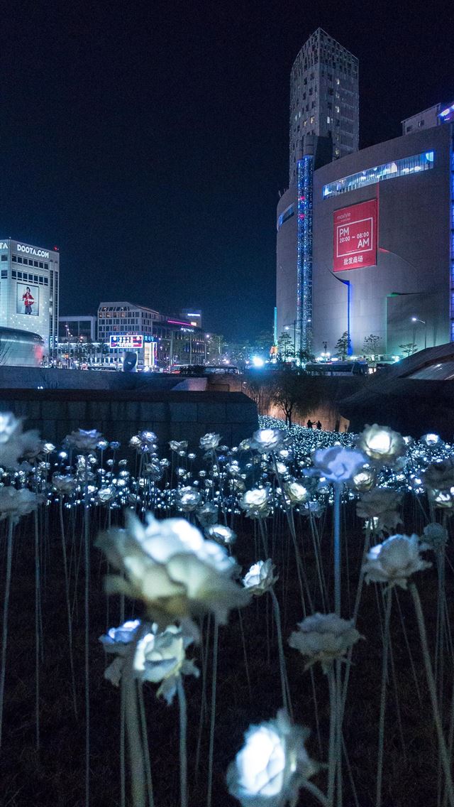 1284x2778 north korea - north korea iPhone Wallpaper