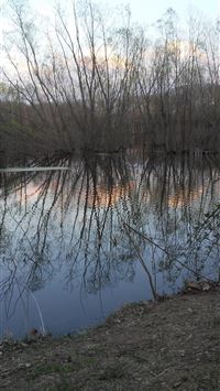 everglades national park wallpaper
