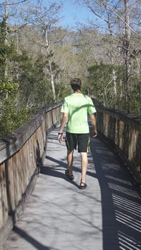 everglades national park wallpaper