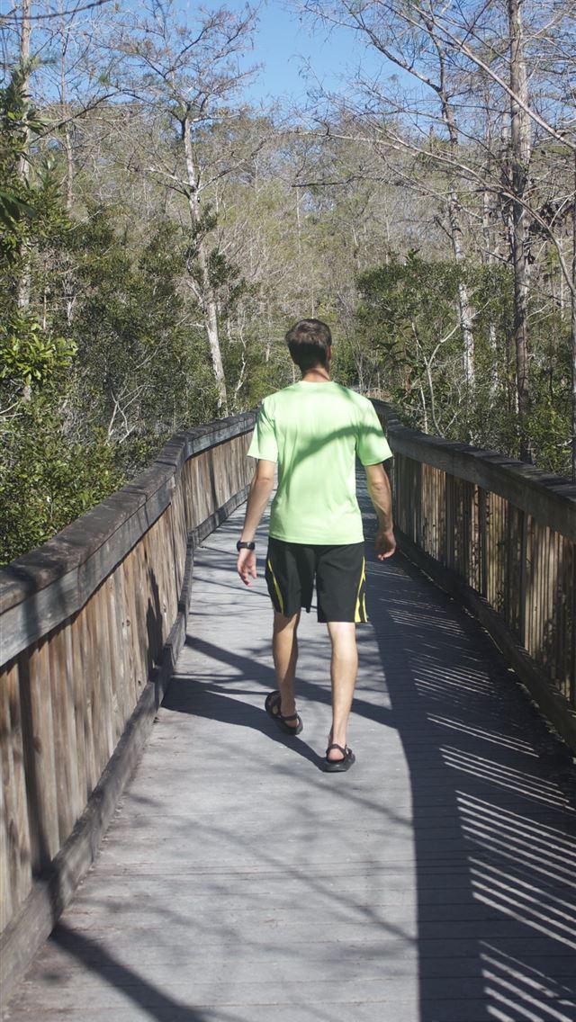 1284x2778 everglades national park - everglades national park iPhone Wallpaper