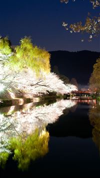 everglades national park wallpaper