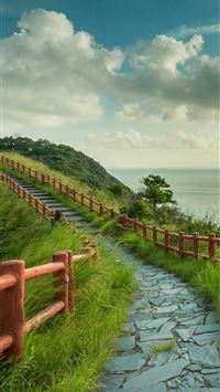 everglades national park wallpaper