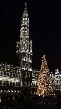 brussels wallpaper