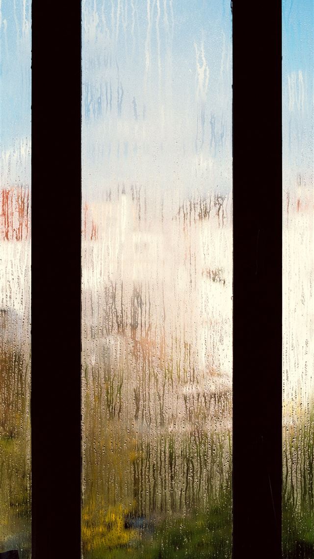 1284x2778 brussels - brussels iPhone Wallpaper