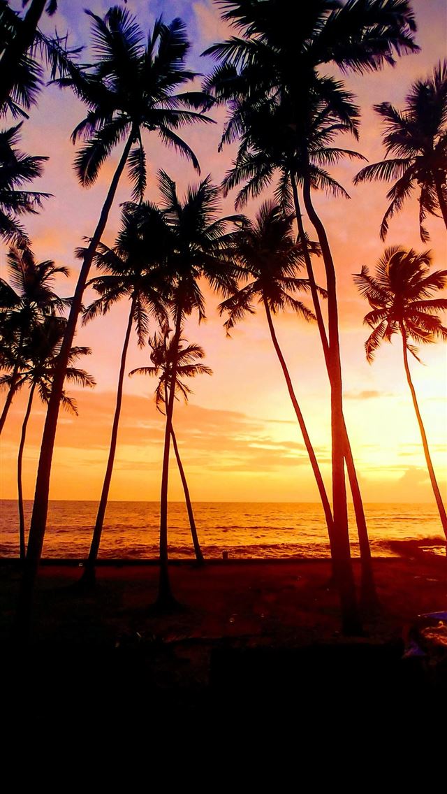 1284x2778 goa - goa iPhone Wallpaper
