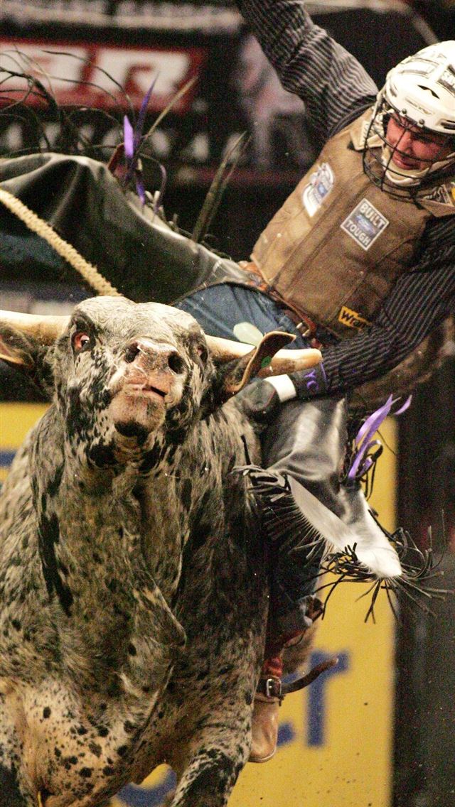 1125x2436 bull riding - bull riding iPhone Wallpaper
