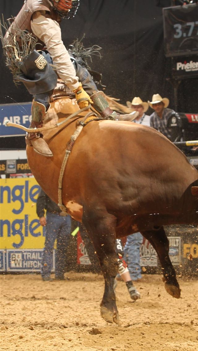 1284x2778 bull riding - bull riding iPhone Wallpaper