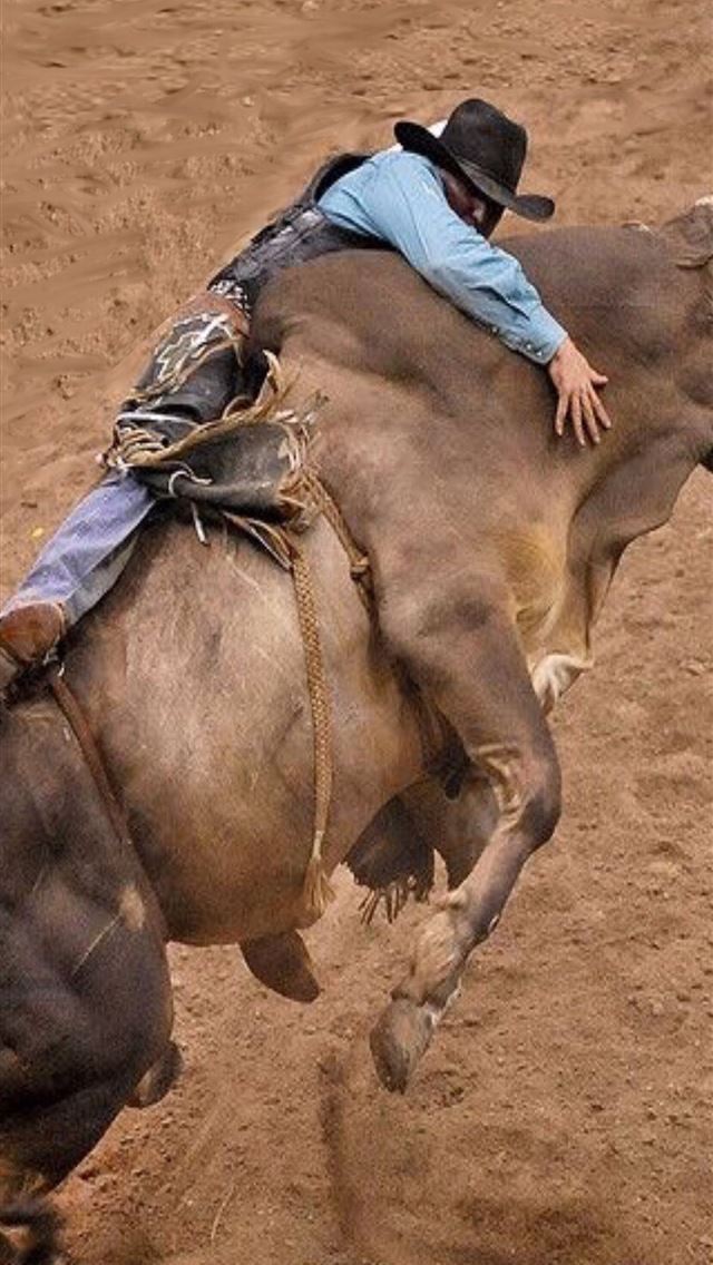 1284x2778 bull riding - bull riding iPhone Wallpaper