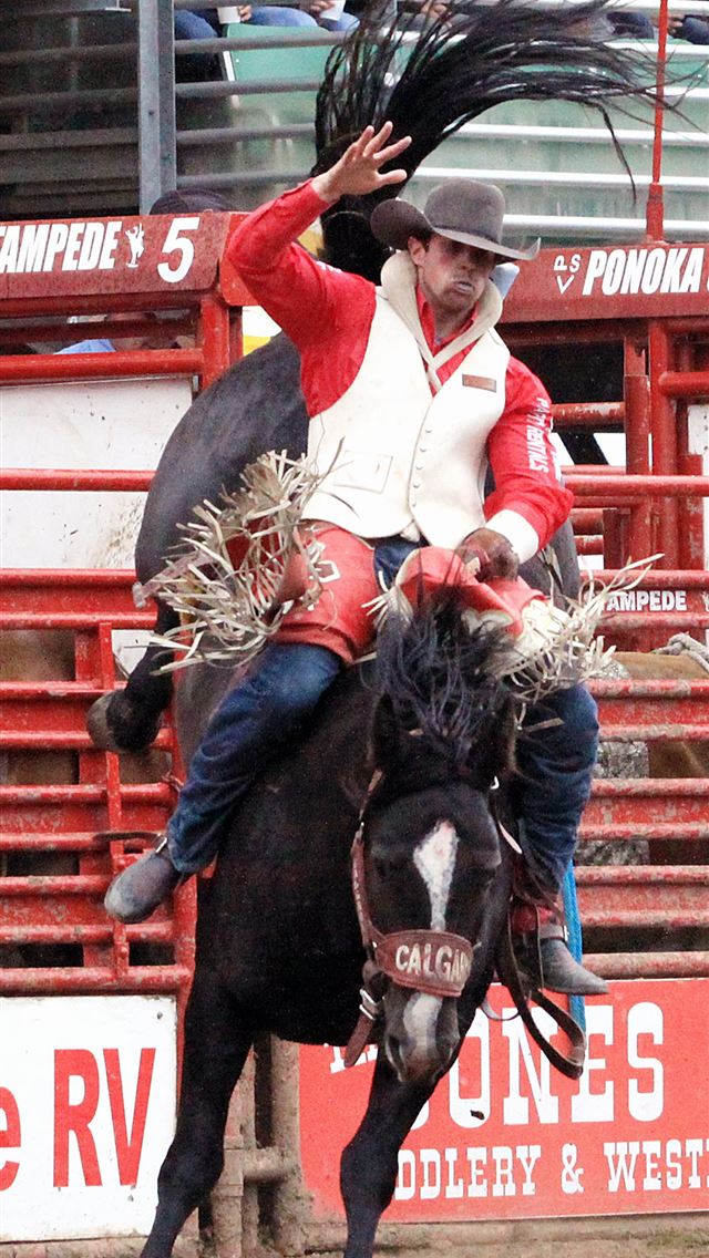 1284x2778 bull riding - bull riding iPhone Wallpaper