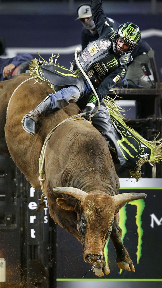 1125x2436 bull riding - bull riding iPhone Wallpaper