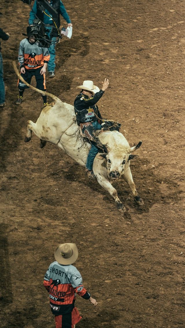 1284x2778 bull riding - bull riding iPhone Wallpaper