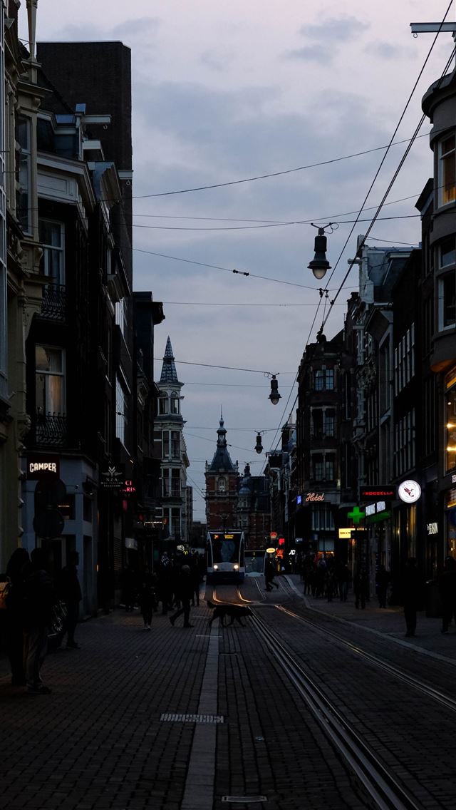 1284x2778 auckland - auckland iPhone Wallpaper