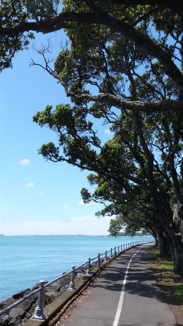 1284x2778 auckland - auckland iPhone Wallpaper